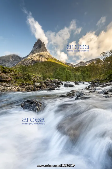 : Stetind, Norwegian national mountain, in front torrent : Stetind, Norwegian national mountain, in front torrent