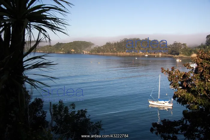 : Steward Island, New Zealand. Overlooking : Steward Island, New Zealand. Overlooking