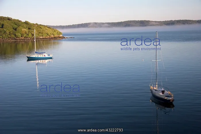 : Steward Island, New Zealand. Overlooking : Steward Island, New Zealand. Overlooking
