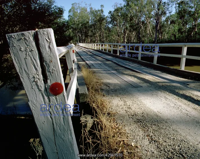 : Stewarts Bridge across the Goulburn River, Echuca : Stewarts Bridge across the Goulburn River, Echuca