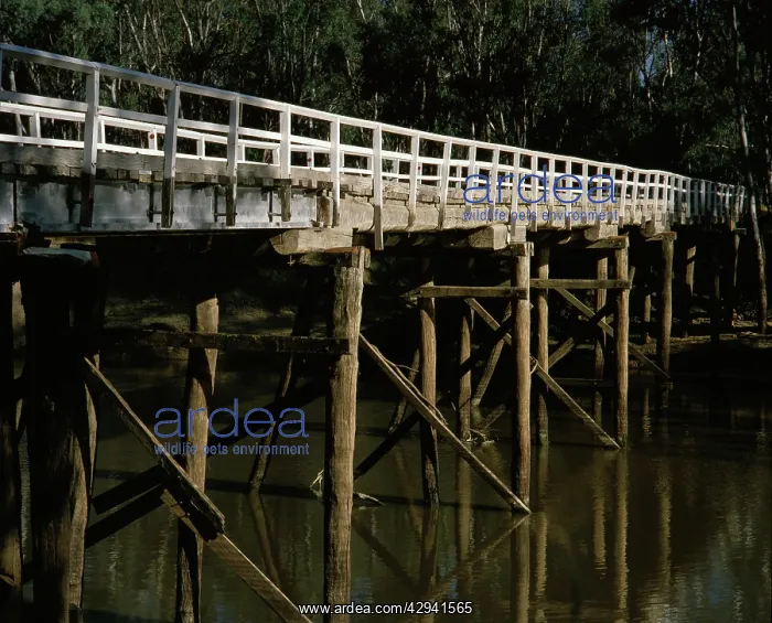 : Stewarts Bridge over the Goulburn River near Echuca : Stewarts Bridge over the Goulburn River near Echuca