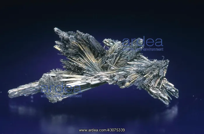 : Stibnite, the most important ore of antimony, from Herja, Romania : Stibnite, the most important ore of antimony, from Herja, Romania