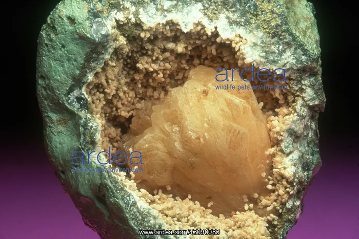 : Stilbite from the Deccan Traps in Poona, India : Stilbite from the Deccan Traps in Poona, India