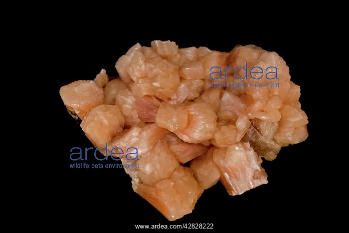 : Stilbite - India - Hydrated sodium calcium aluminosilicate : Stilbite - India - Hydrated sodium calcium aluminosilicate