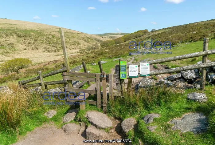 : Stile and path leading tp Wistman's Wood, Dartmoor, s : Stile and path leading tp Wistman's Wood, Dartmoor, s