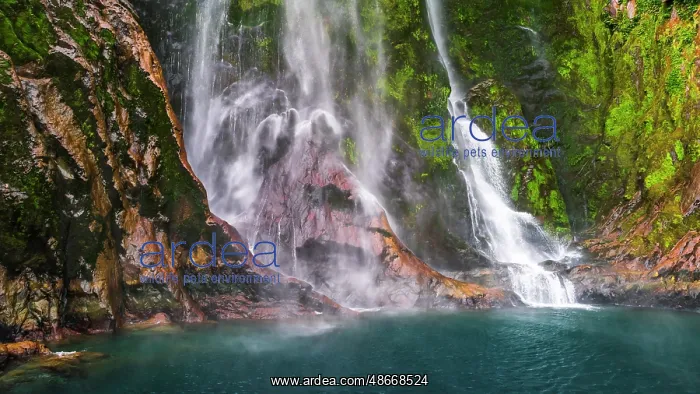 : Stirling Falls, Milford Sound, Fiordland National Park : Stirling Falls, Milford Sound, Fiordland National Park