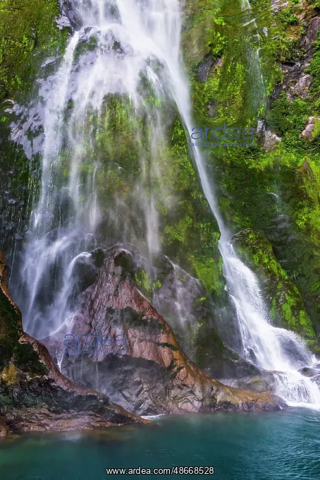 : Stirling Falls, Milford Sound, Fiordland National Park : Stirling Falls, Milford Sound, Fiordland National Park