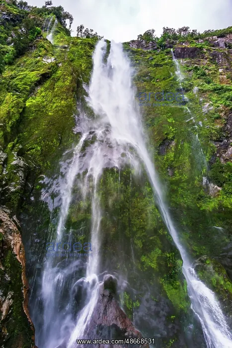 : Stirling Falls, Milford Sound, Fiordland National Park : Stirling Falls, Milford Sound, Fiordland National Park