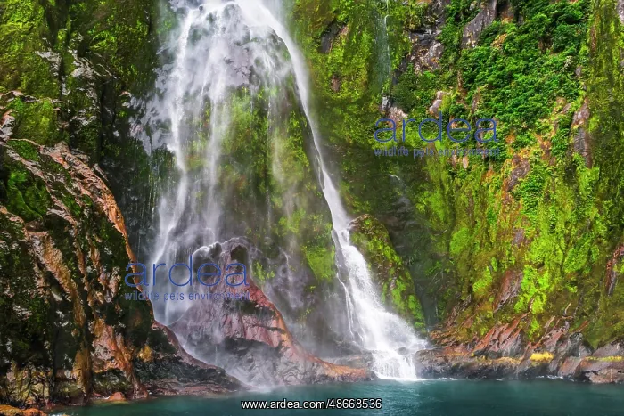 : Stirling Falls, Milford Sound, Fiordland National Park : Stirling Falls, Milford Sound, Fiordland National Park