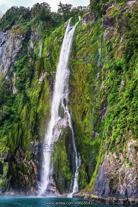 : Stirling Falls, Milford Sound, Fiordland National Park : Stirling Falls, Milford Sound, Fiordland National Park