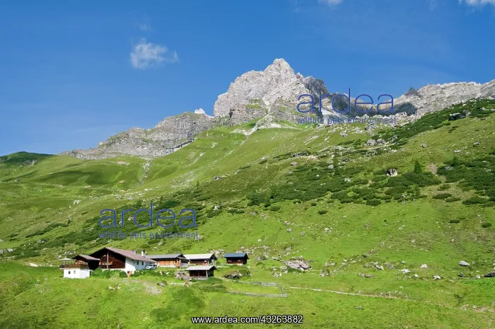 : Stoankasern alpine pasture, Kalkwand in the back : Stoankasern alpine pasture, Kalkwand in the back