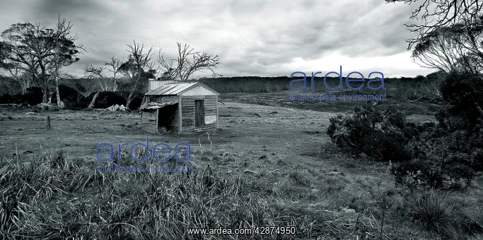 : Stock Man Hut - Also used as a refuge for bush walkers : Stock Man Hut - Also used as a refuge for bush walkers