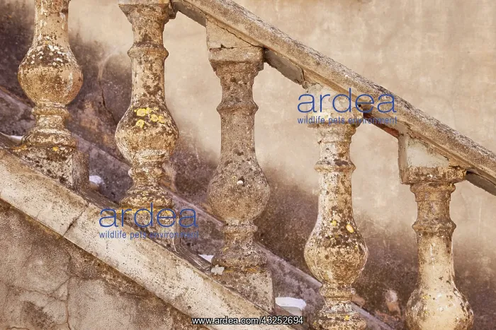 : Stone Balusters and staircase leading to : Stone Balusters and staircase leading to