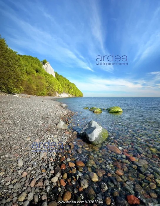 : Stone beach at the Baltic Sea, behind the K&, x1aea67;sstuhl : Stone beach at the Baltic Sea, behind the K&, x1aea67;sstuhl