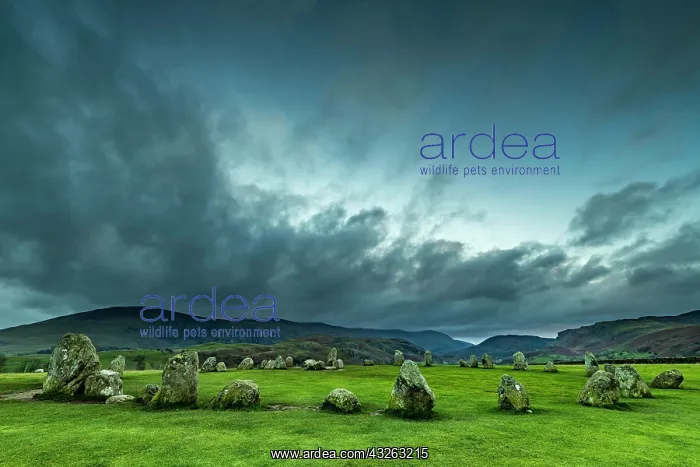 : Stone circle with dramatic clouds, Keswick, Yorkshire : Stone circle with dramatic clouds, Keswick, Yorkshire