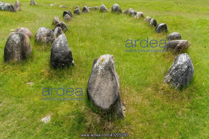 : A stone circle at the major Viking burial site in : A stone circle at the major Viking burial site in