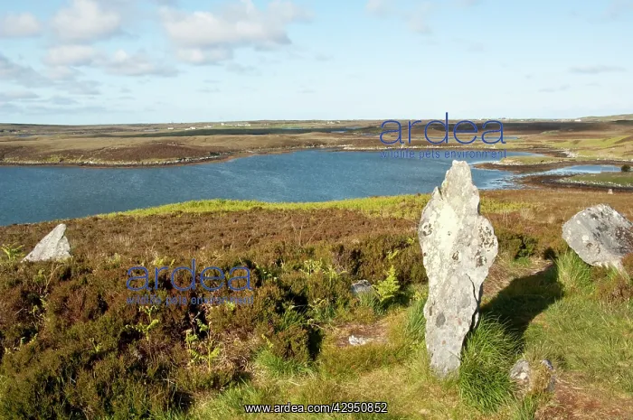 : Part of stone circle - overlooking Loch Langais : Part of stone circle - overlooking Loch Langais