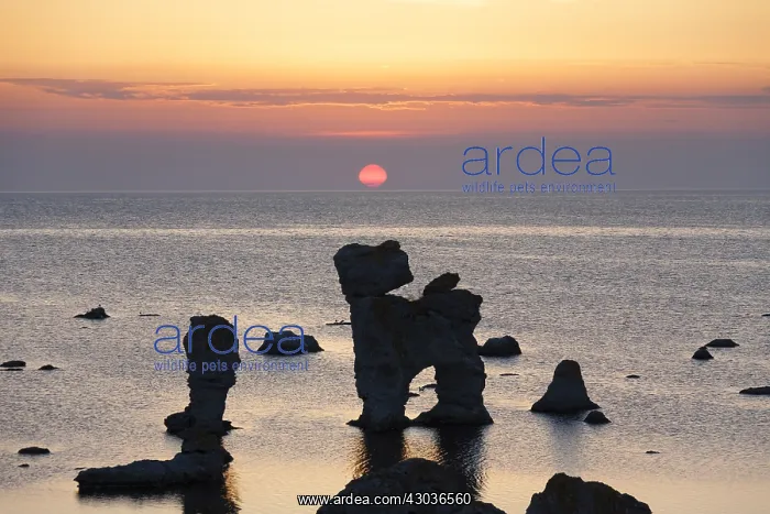: Stone column Gamle Hamn - Faroe island - Gotland, Sweden : Stone column Gamle Hamn - Faroe island - Gotland, Sweden