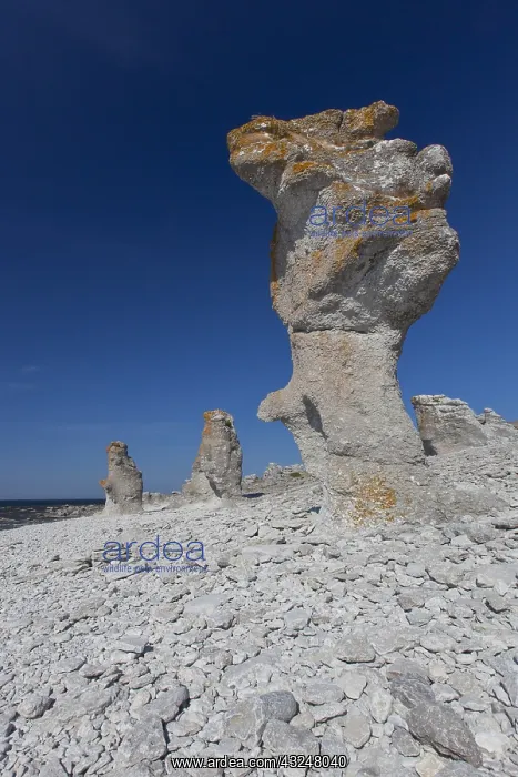  : Stone columns at Langhammar - Faroe island - Gotland, Sweden