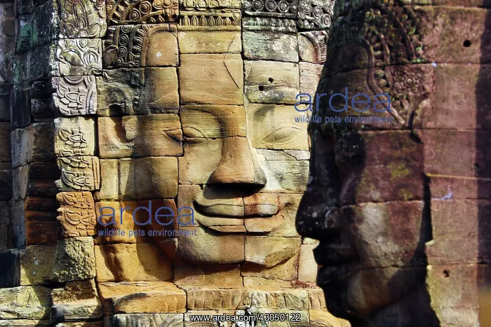 : Stone face in the ruins of the Bayon Khmer Temple, Angko : Stone face in the ruins of the Bayon Khmer Temple, Angko