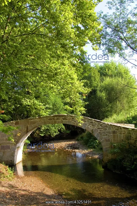 : Stone footbridge near the village of Sare : Stone footbridge near the village of Sare