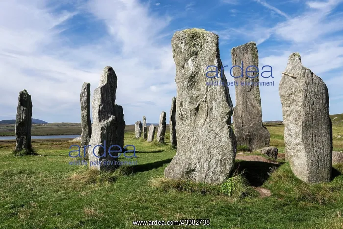 : Stone formation of the megalithic culture, site : Stone formation of the megalithic culture, site