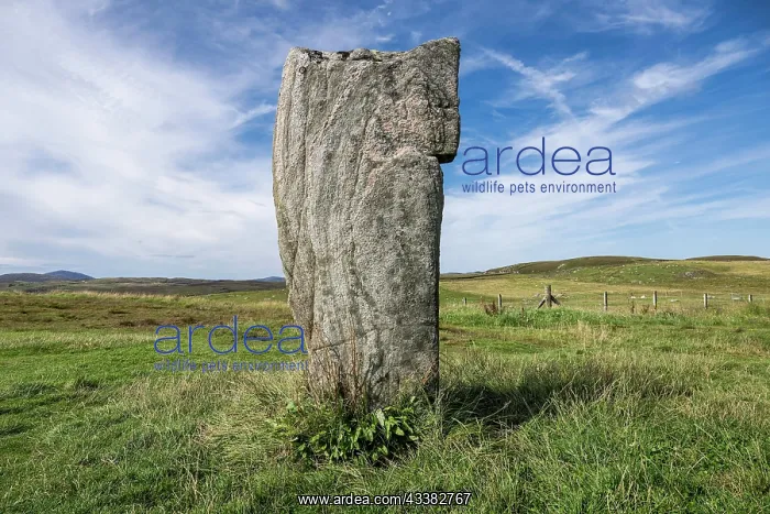 : Stone formation of the megalithic culture, site : Stone formation of the megalithic culture, site