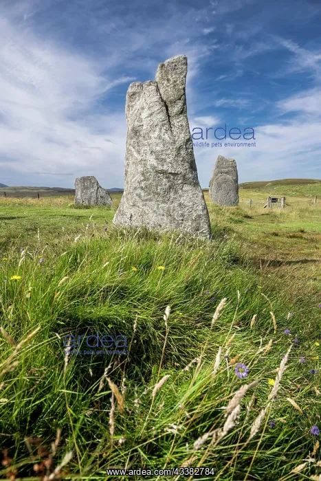 : Stone formation of the megalithic culture, site : Stone formation of the megalithic culture, site
