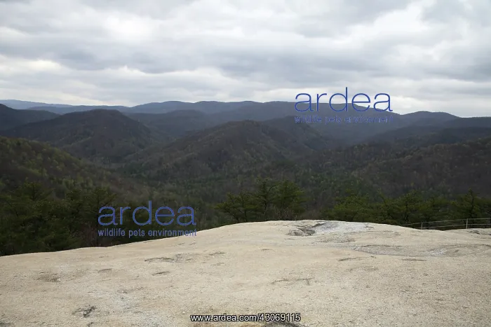 : Stone Mountain State Park : Stone Mountain State Park