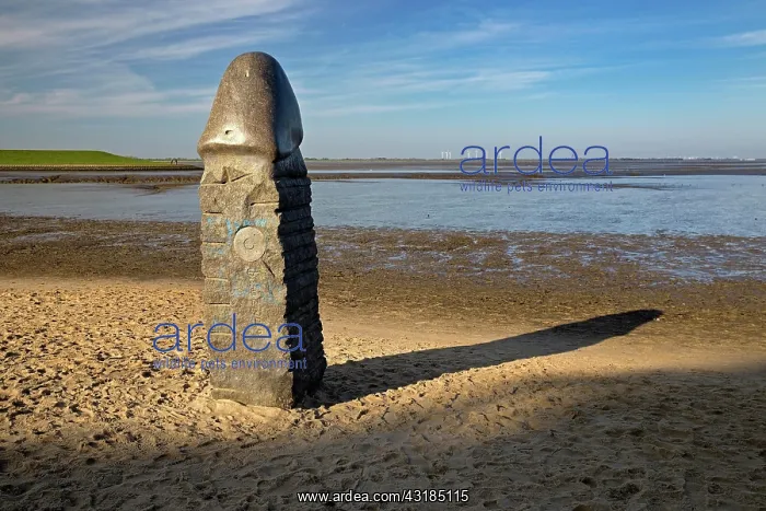  : Stone penis, sculpture in the mudflat landscape