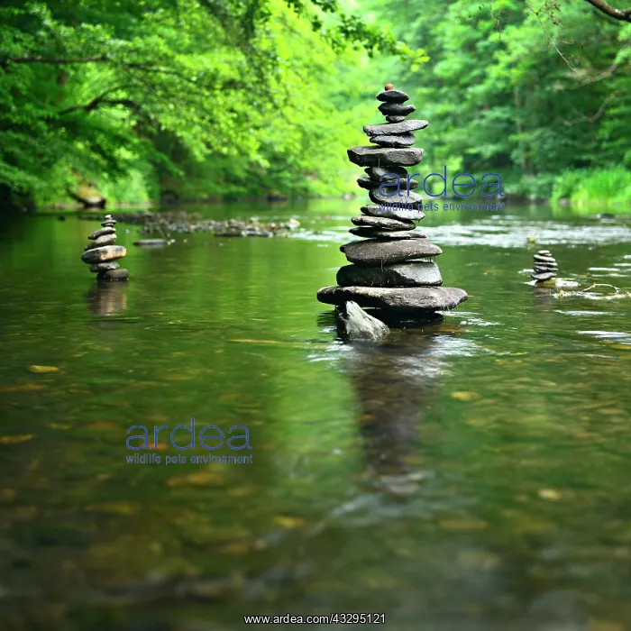 : Stone pyramids, cairn in the river Schwarza, Schwarzatal : Stone pyramids, cairn in the river Schwarza, Schwarzatal