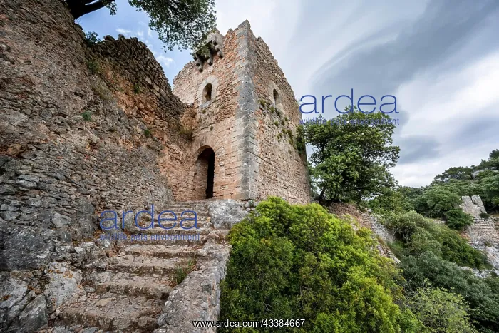 : Stone steps and tower of the castle ruins Castell Alarn : Stone steps and tower of the castle ruins Castell Alarn