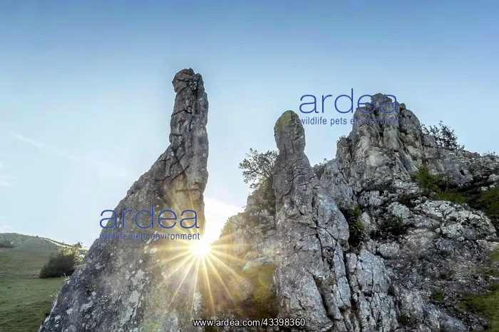  : Stone Virgins with Star of the Sun, rock needles