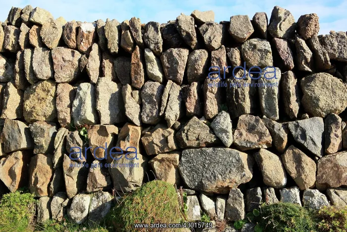  : Stone Wall