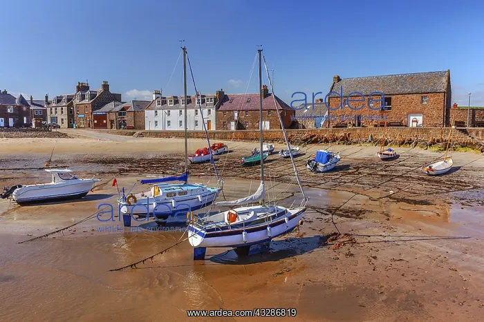 : Stonehaven harbour - boats in the harbour of Stonehaven : Stonehaven harbour - boats in the harbour of Stonehaven