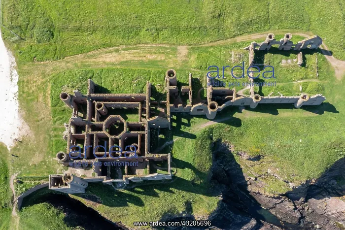 : Stonehaven, United Kingdom - 23 June, 2022: top : Stonehaven, United Kingdom - 23 June, 2022: top