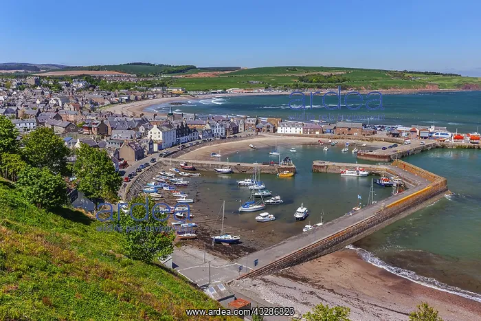 : Stonehaven - view from above onto the harbour and : Stonehaven - view from above onto the harbour and