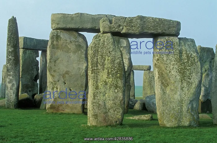 : Stonehenge Ancient Monument : Stonehenge Ancient Monument