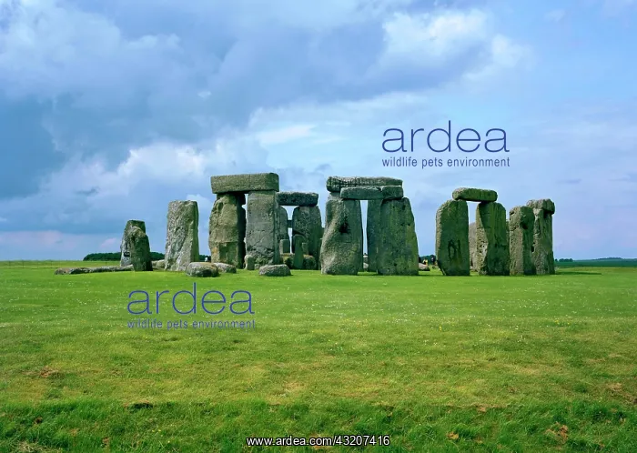 : Stonehenge, Salisbury Plain, Wiltshire, England : Stonehenge, Salisbury Plain, Wiltshire, England