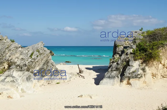 : Stonehole Bay beach, Bermuda : Stonehole Bay beach, Bermuda