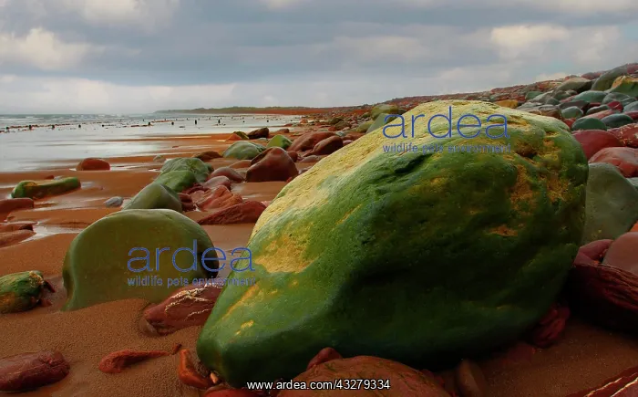: Stones on the beach of Western Ireland, Europe : Stones on the beach of Western Ireland, Europe