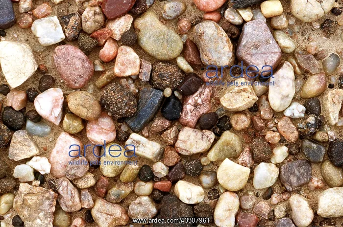  : STONES - MIXED AGGREGATE