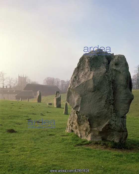 : Stones - originally erected 4500 years ago : Stones - originally erected 4500 years ago