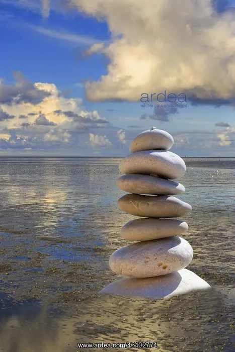 : Stones, pebbles, pebble tower on the beach of the : Stones, pebbles, pebble tower on the beach of the