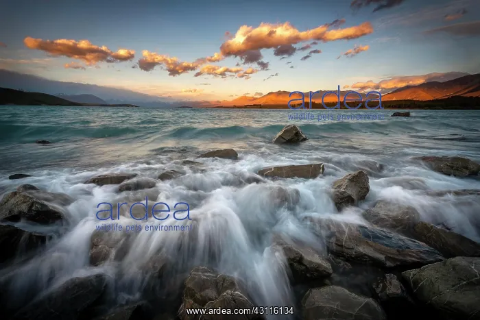 : Stones on shore, lake with sunset swell, long time : Stones on shore, lake with sunset swell, long time