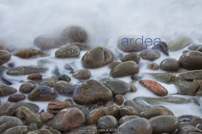 : Stones in the waves at coastline - Kullaberg - Skane, Sweden : Stones in the waves at coastline - Kullaberg - Skane, Sweden