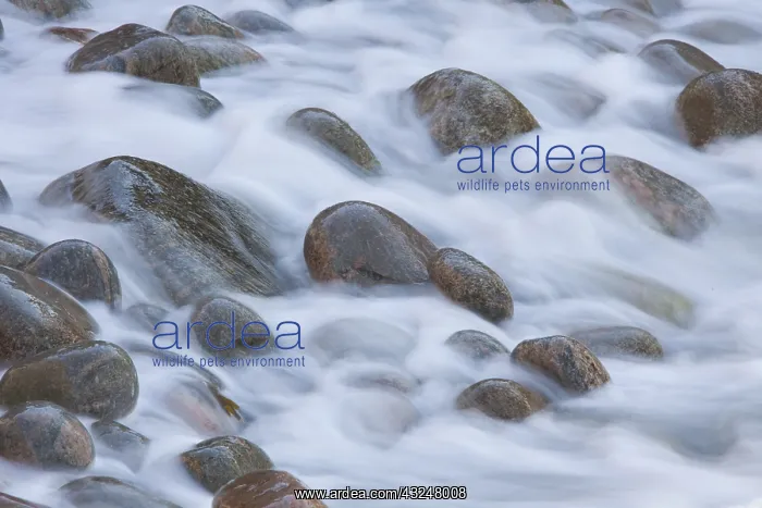 : Stones in the waves at coastline - Kullaberg - Skane, Sweden : Stones in the waves at coastline - Kullaberg - Skane, Sweden