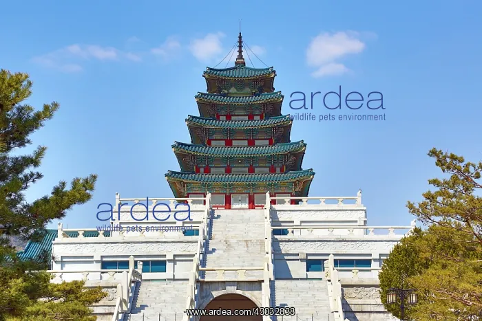: Five storey pagoda by the National Folk Museum at : Five storey pagoda by the National Folk Museum at