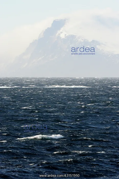 : Storm blowing over Cape Adare : Storm blowing over Cape Adare
