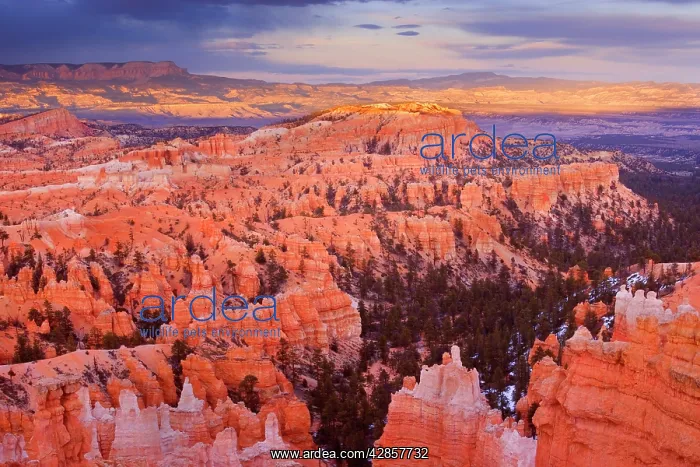: Storm over Bryce Canyon - view from Sunset Point : Storm over Bryce Canyon - view from Sunset Point
